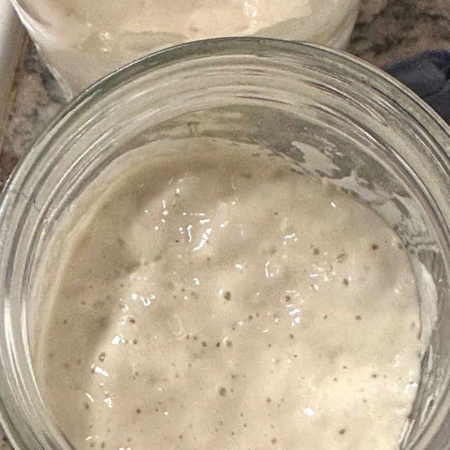 A glass jar of active sourdough starter, bubbled and risen, beside a second jar on the counter.