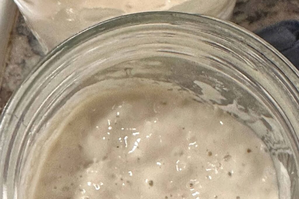Active sourdough starter bubbling in an open glass jar